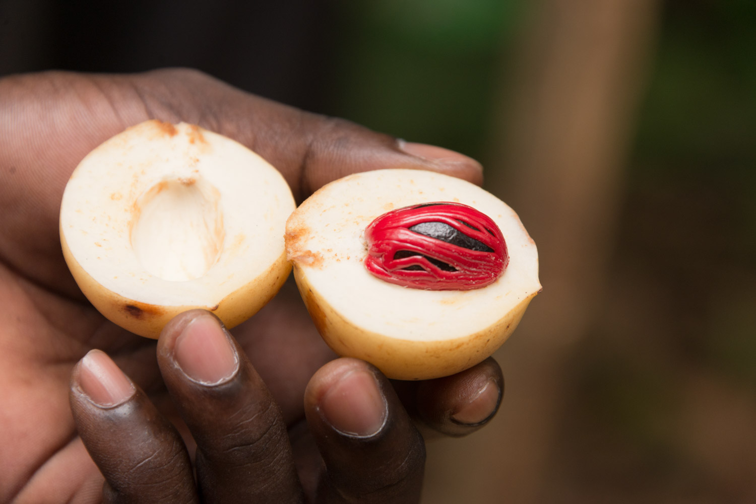 Traditional Cooking with Spices in Zanzibar